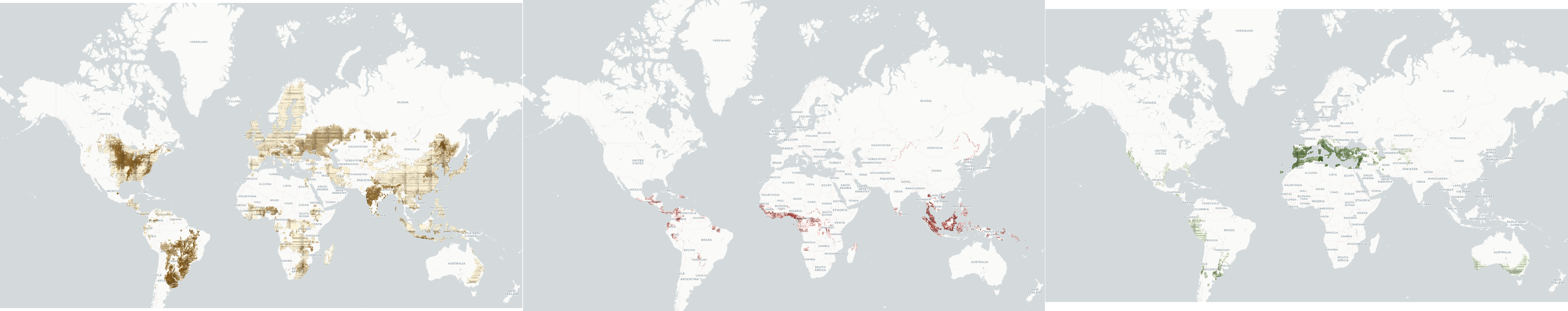 Global CROPGRIDS views for soybean, oil palm and olive