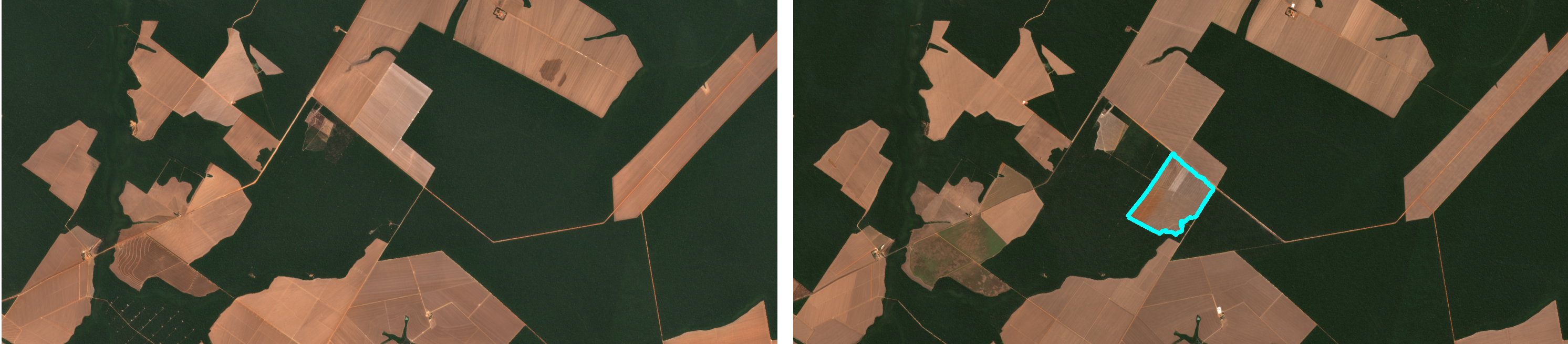 Satellite comparison with the clearing field outlined in cyan