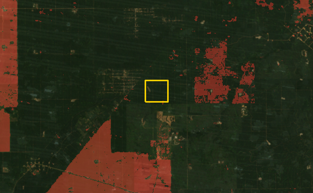 Historical satellite context with cumulative tree-cover loss and the field area outlined in yellow
