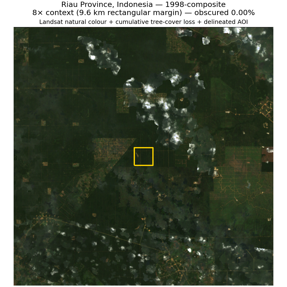 1998 Landsat composite with field boundary