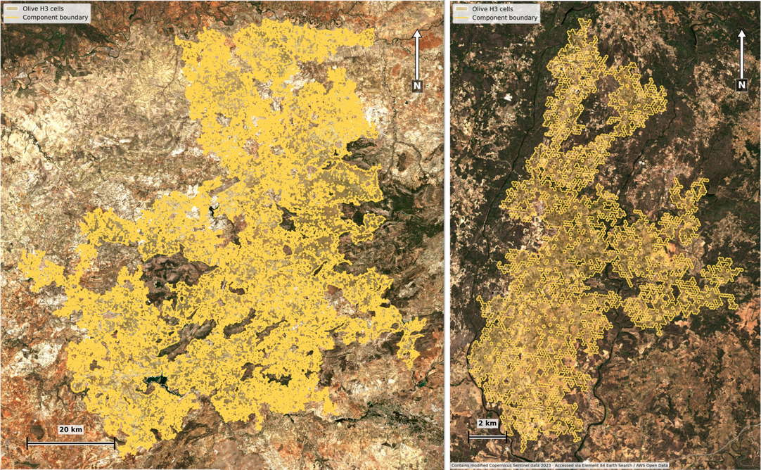 Spanish and Portuguese olive connected components over Sentinel-2 imagery